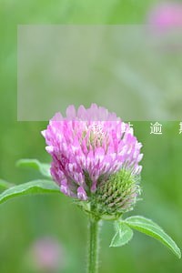 钱站逾期四年没钱还怎么办