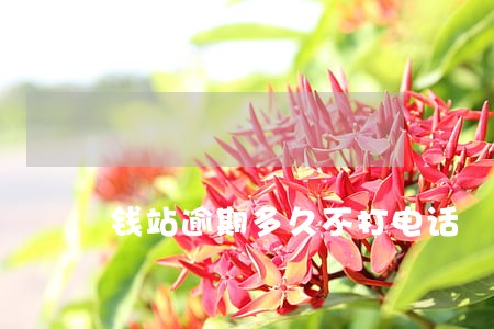 钱站逾期多久不打电话