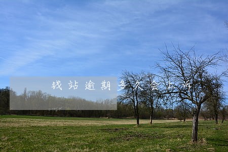钱站逾期多久会上诉