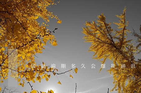 钱站逾期多久会爆我通讯录