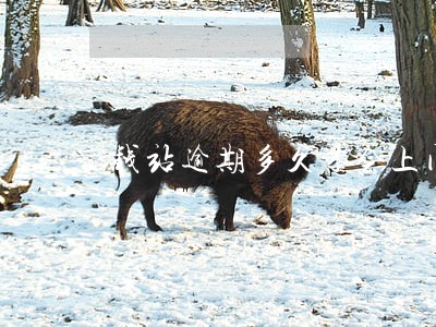 钱站逾期多久才会上门 钱站逾期多久才会上门