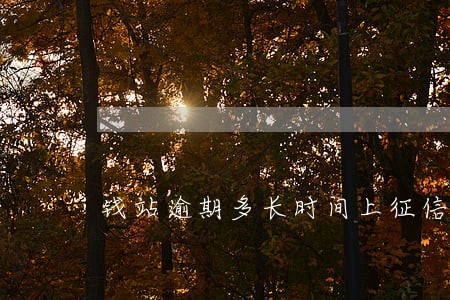 钱站逾期多长时间上征信 钱站逾期多长时间上征信