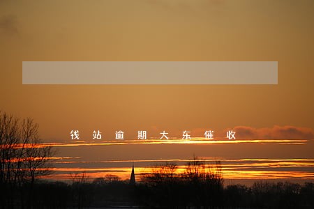 钱站逾期大东催收 钱站逾期大东催收