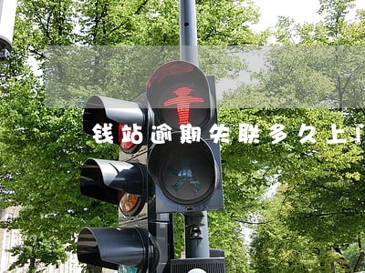 钱站逾期失联多久上门 钱站逾期失联多久上门