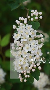 钱站逾期威胁短信 钱站逾期威胁短信