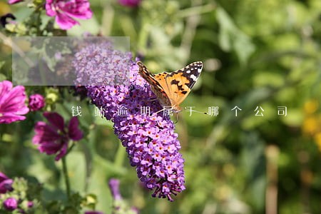 钱站逾期属于哪个公司 钱站逾期属于哪个公司