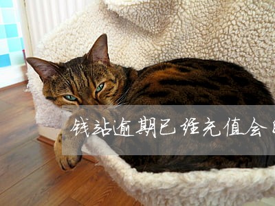 钱站逾期已经充值会自动扣款吗 钱站逾期已经充值会自动扣款吗