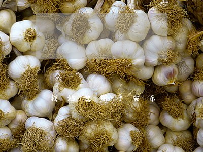 钱站逾期平安东 钱站逾期平安东