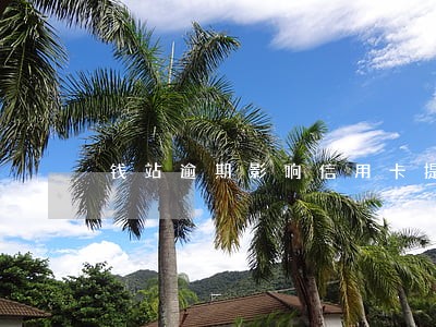 钱站逾期影响信用卡提额吗 钱站逾期影响信用卡提额吗