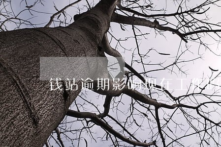钱站逾期影响现在工作吗 钱站逾期影响现在工作吗