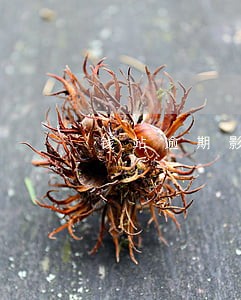 钱站逾期影响芝麻分 钱站逾期影响芝麻分