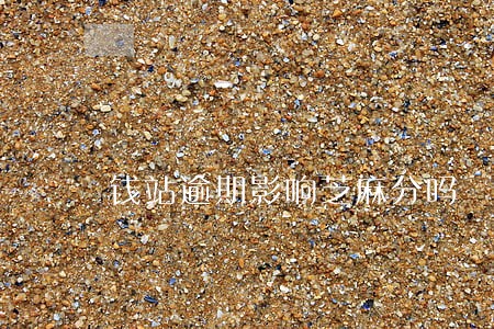钱站逾期影响芝麻分吗 钱站逾期影响芝麻分吗