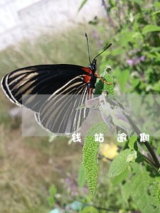 钱站逾期征信消除 钱站逾期征信消除