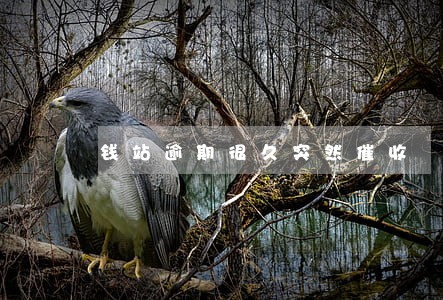 钱站逾期很久突然催收 钱站逾期很久突然催收