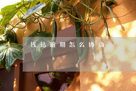 钱站逾期怎么协商 钱站逾期怎么协商