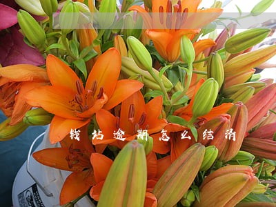 钱站逾期怎么结清 钱站逾期怎么结清