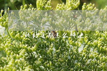 钱站逾期怎么解决 钱站逾期怎么解决