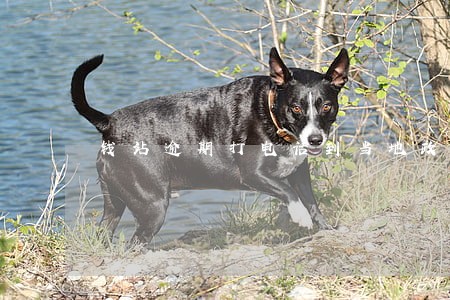 钱站逾期打电话到当地政府 钱站逾期打电话到当地政府