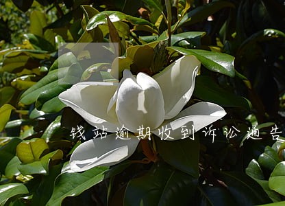 钱站逾期收到诉讼通告 钱站逾期收到诉讼通告
