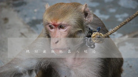 钱站逾期机器人短信 钱站逾期机器人短信