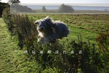 钱站逾期没打电话 钱站逾期没打电话