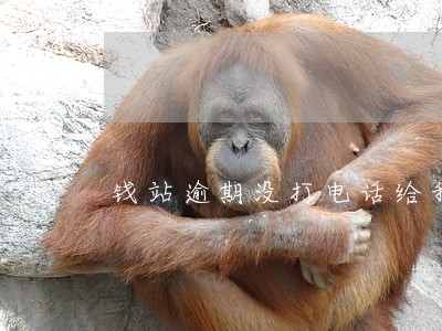 钱站逾期没打电话给我联系 钱站逾期没打电话给我联系