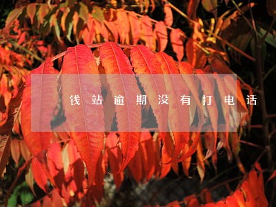 钱站逾期没有打电话 钱站逾期没有打电话