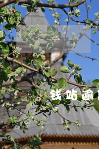钱站逾期没有爆通讯录 钱站逾期没有爆通讯录