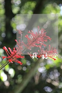 钱站逾期流程和后果 钱站逾期流程和后果