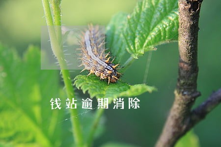 钱站逾期消除 钱站逾期消除