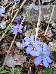 钱站逾期爆联系人电话多久 钱站逾期爆联系人电话多久