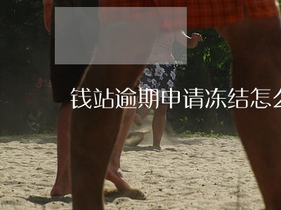 钱站逾期申请冻结怎么处理 钱站逾期申请冻结怎么处理