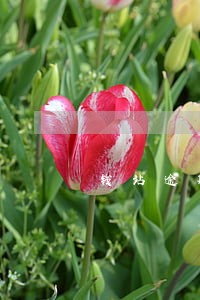 钱站逾期的利息吓人啊 钱站逾期的利息吓人啊