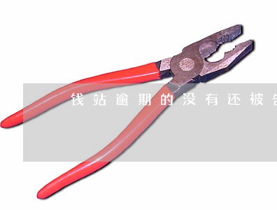 钱站逾期的没有还被告诈骗的 钱站逾期的没有还被告诈骗的
