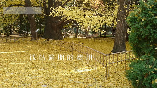 钱站逾期的费用 钱站逾期的费用
