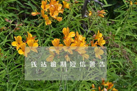 钱站逾期短信警告 钱站逾期短信警告