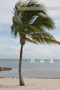 钱站逾期立案通知 钱站逾期立案通知