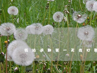 钱站逾期第一天会打联系人吗 钱站逾期第一天会打联系人吗