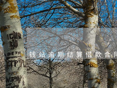钱站逾期结算借款合同什么意思 钱站逾期结算借款合同什么意思