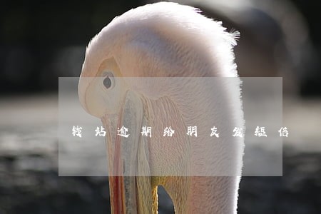 钱站逾期给朋友发短信 钱站逾期给朋友发短信