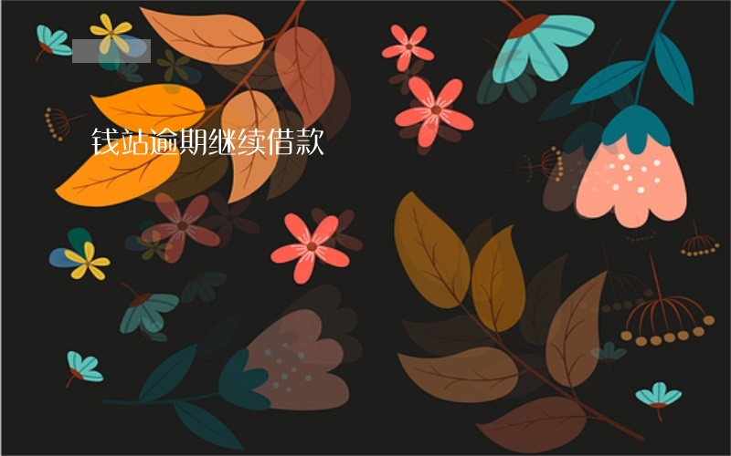 钱站逾期继续借款 钱站逾期继续借款
