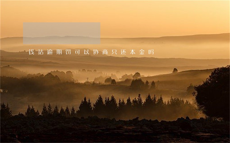 钱站逾期罚可以协商只还本金吗 钱站逾期罚可以协商只还本金吗