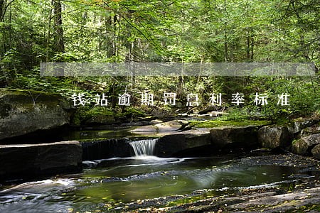 钱站逾期罚息利率标准 钱站逾期罚息利率标准