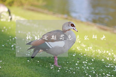 钱站逾期罚息怎么解决 钱站逾期罚息怎么解决
