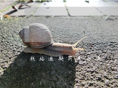 钱站逾期罚息标准 钱站逾期罚息标准