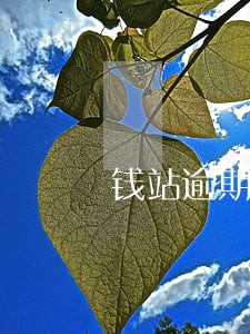 钱站逾期罚息翻倍 钱站逾期罚息翻倍