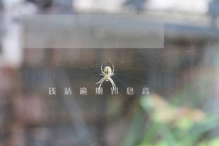 钱站逾期罚息高 钱站逾期罚息高