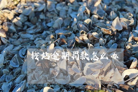 钱站逾期罚款怎么办 钱站逾期罚款怎么办