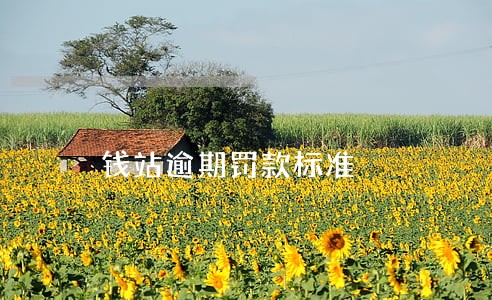 钱站逾期罚款标准 钱站逾期罚款标准
