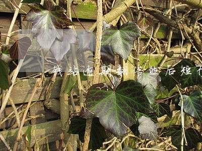 钱站逾期翻倍然后短信威胁 钱站逾期翻倍然后短信威胁